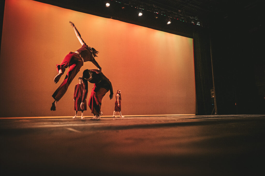 Danses Nomades, la compagnie prima en partenariat avec la compagnie Hervé Koubi